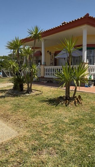 Mantenimiento parcela y jardines
