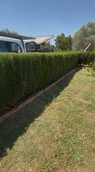 Mantenimiento parcela y jardines