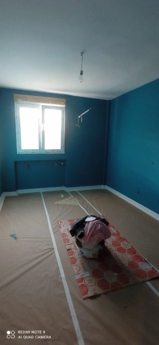 Pintor Profesional