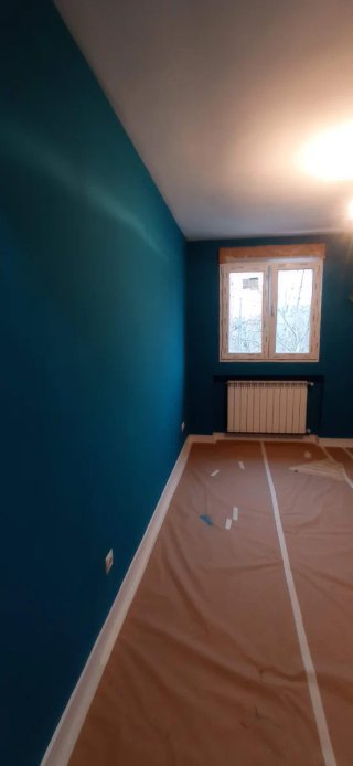 Pintor Profesional
