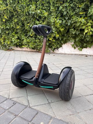 Patinete eléctrico Segway ninebot mini pro