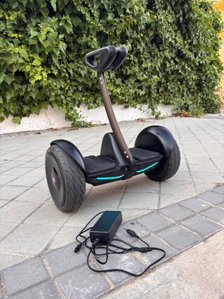 Patinete eléctrico Segway ninebot mini pro