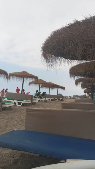 Sombrillas Esparto y Cañizo