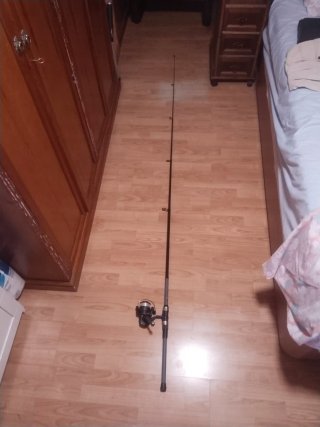 Caña de pescar extensible con carrete
