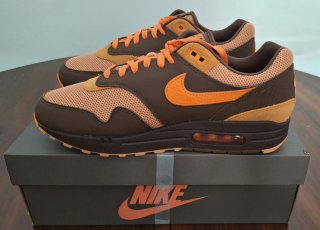 Nike Air Max 1 King's Day Limited Edition