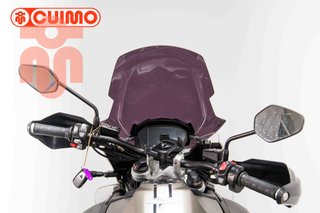 TRIUMPH TIGER 1200