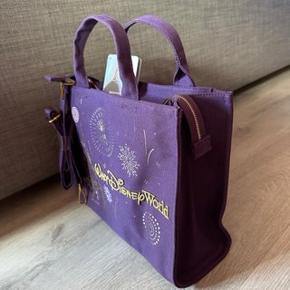 Bolso grande, castillo La Cenicienta, Disney Worl