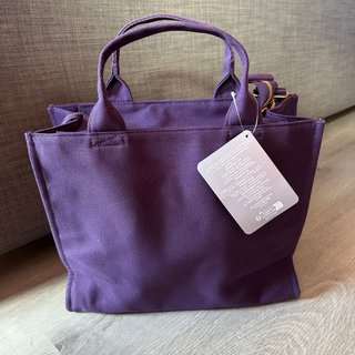 Bolso grande, castillo La Cenicienta, Disney Worl