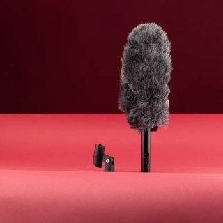 ALQUILER Micrófono Sennheiser ME66 + K6