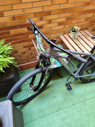 Bicicleta MTB 29"