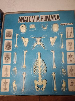 Anatomía Humana Serima Vintage