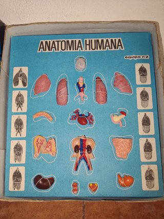 Anatomía Humana Serima Vintage