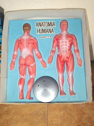 Anatomía Humana Serima Vintage