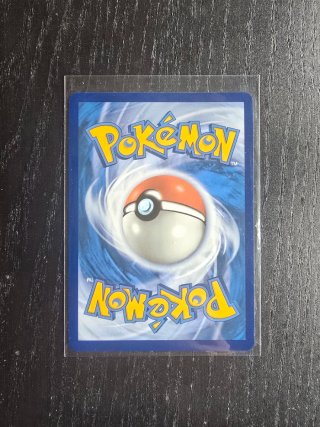 Carta Pokémon Magikarp 203/193 PALES
