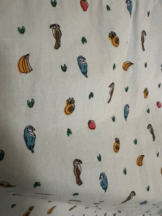Pack 2 Camisas Estampadas
