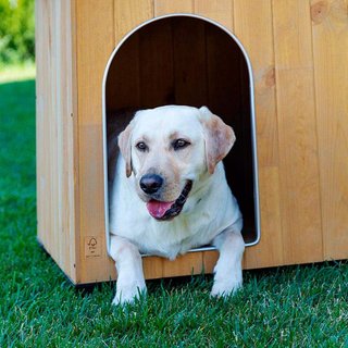 Ferplast caseta perro madera resistente exterior