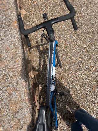 Bicicleta Canyon Endurance CF SL Azul