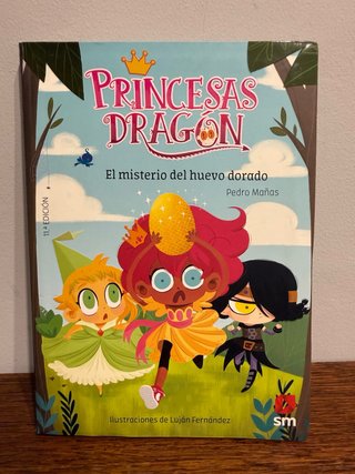Libro princesas dragón
