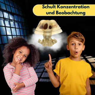 HUCH! juego acción niños caza fantasmas