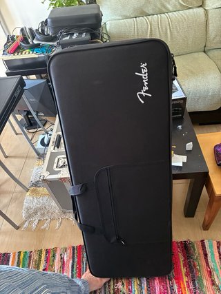 Fender Player II Stratocaster + funda