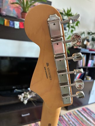 Fender Player II Stratocaster + funda