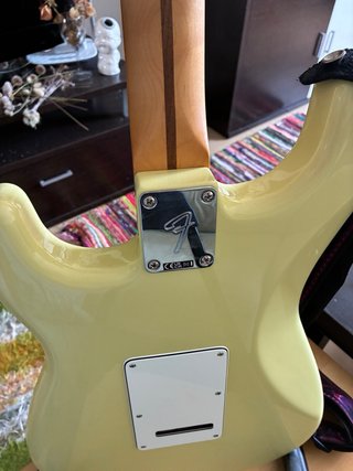 Fender Player II Stratocaster + funda