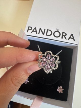 Conjunto de joyas plata  Plata Rosa Halo Brillante