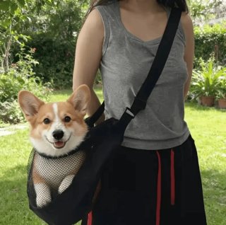 Transportín Malla Perro Gato Ligero Transpirable
