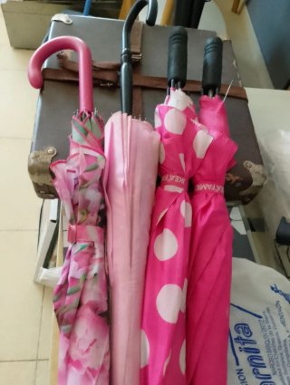 Lote 4 Paraguas Rosas y Blancos