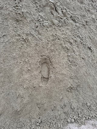 Arena para cama de vacas