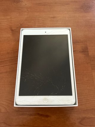 iPad Mini 16GB Argento