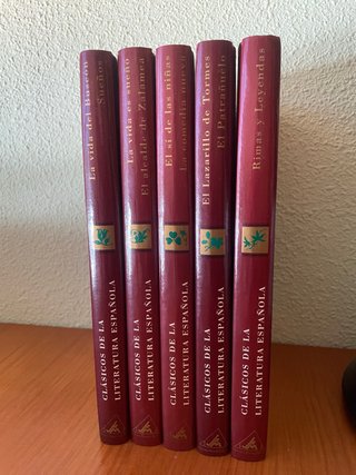 Colección de libros. Clásicos de la literatura esp