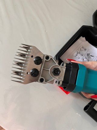 Tagliacapelli elettrico per pecore