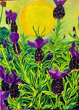 Óleo 73x54 cm “Lavandas"