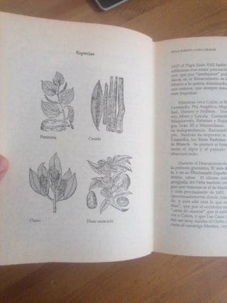 Libro Colón en el Mar de los Caribes. Historia.