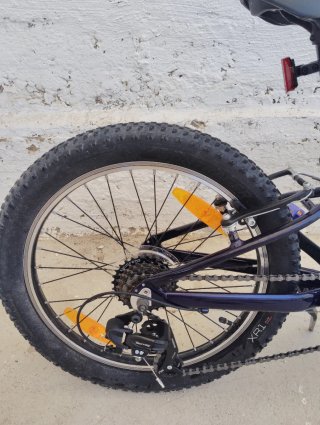 Bicicleta infantil TREK PRECALIBER 20 pulgadas