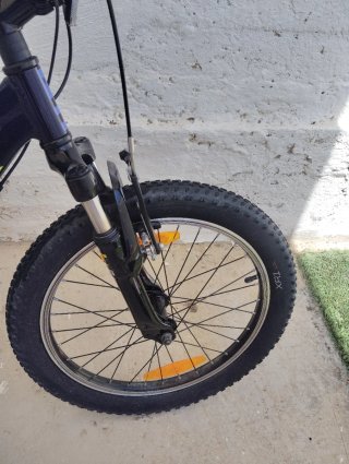 Bicicleta infantil TREK PRECALIBER 20 pulgadas
