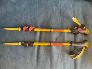 Bastones de esquí Black Diamond Traverse 3