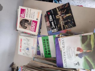Lote Vinilos Pequeños