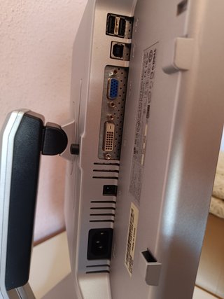 Monitor Dell 19 Negro y Plata