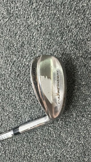 Palo de golf Harmonized 55/12