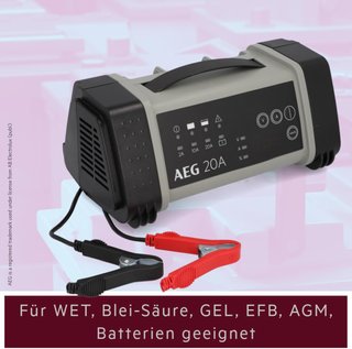 AEG cargador batería microprocesador 9 niveles