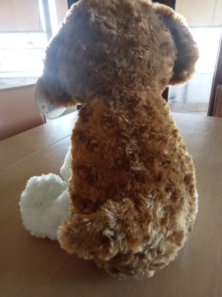 Peluche cane marrone e bianco