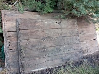 Puerta de madera de álamo negro