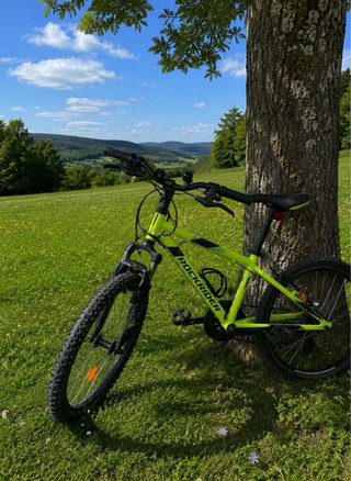Bicicleta montaña infantil Rockrider Decathlon