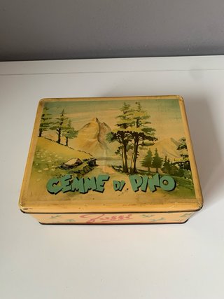 Scatola di Latta Gemme di Pino Fassi vintage