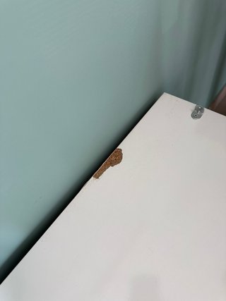 Escritorio en L