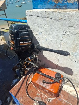 Motor fueraborda Mercury 7.5