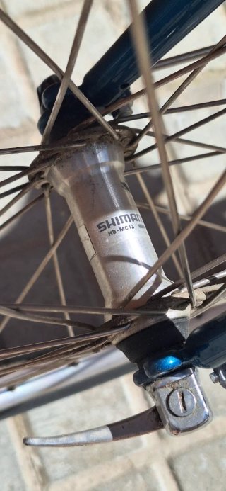 Bicicleta de paseo