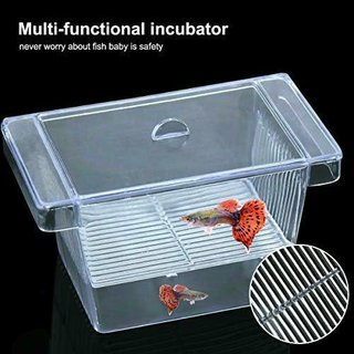Incubadora para Peces Acuarios Pequeños